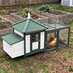 Cottage chicken coop with hens beside raised garden beds - wrenwood ugc lifestyle v3