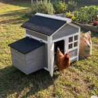 Brown hen at the doorway of the black-roofed wooden chicken coop - wrenwood ugc lifestyle v3