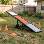 Black dog agility seesaw set up on a backyard training lawn with cones - wrenwood hero v2