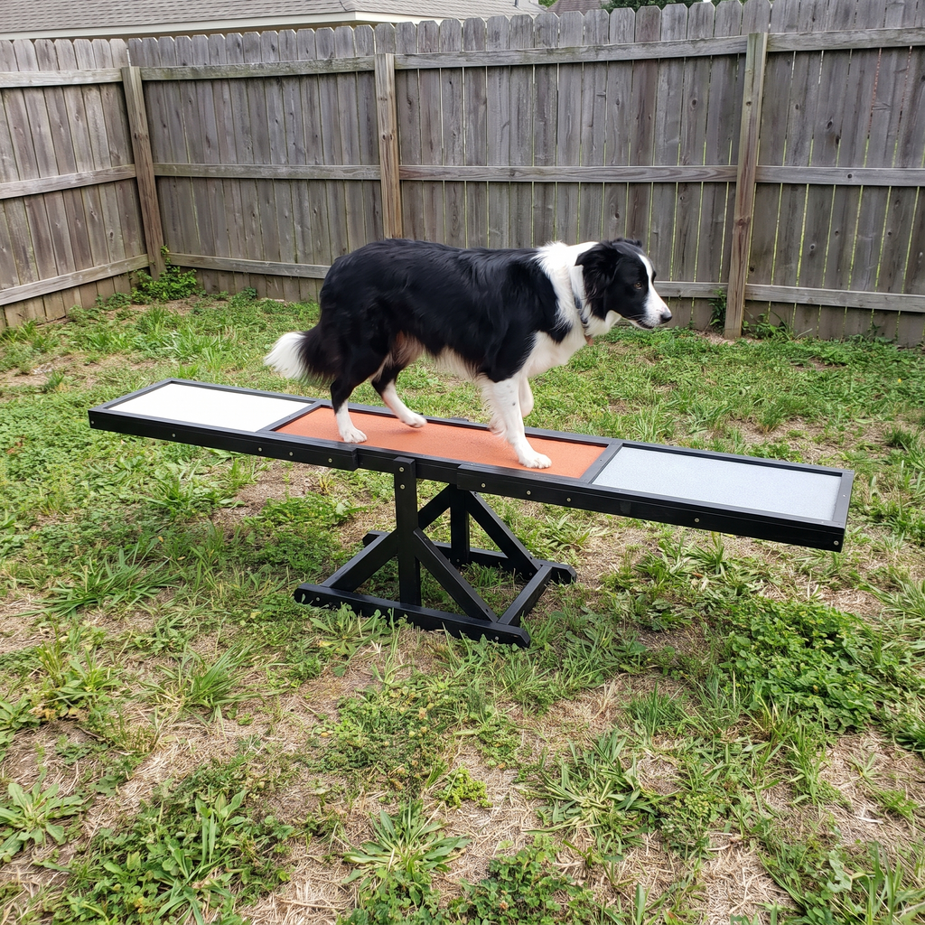 Border collie balancing mid-teeter on the black agility seesaw in a fenced yard - wrenwood ugc lifestyle v2