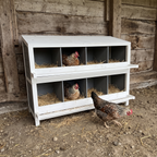 Speckled hens settled into the open nesting compartments against a barn wall - wrenwood ugc lifestyle v2