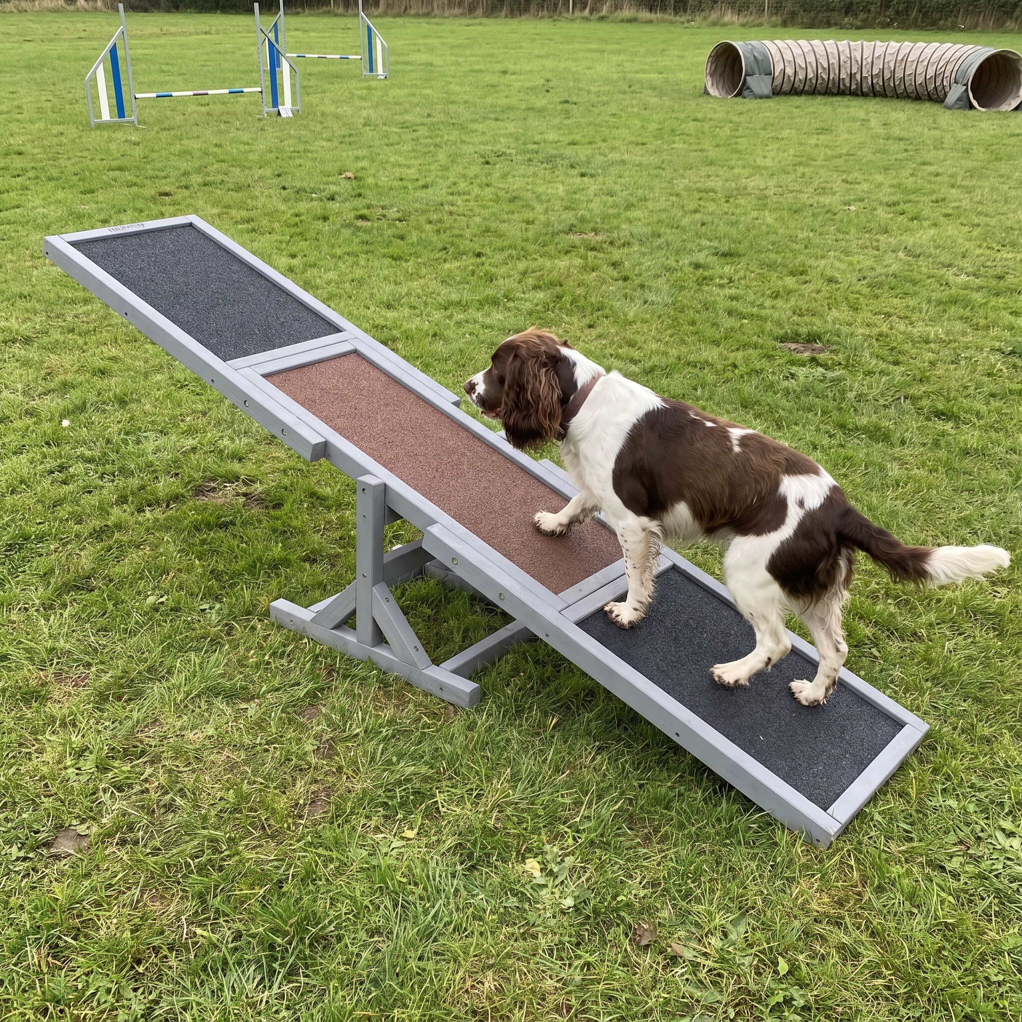 Springer spaniel walking up the wooden agility seesaw on a training field - wrenwood ugc lifestyle v2