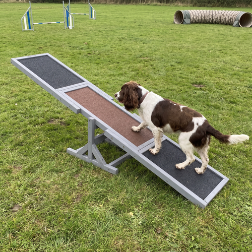 Springer spaniel walking up the wooden agility seesaw on a training field - wrenwood ugc lifestyle v2