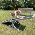Small terrier crossing the wooden agility seesaw at the park - wrenwood ugc lifestyle v2