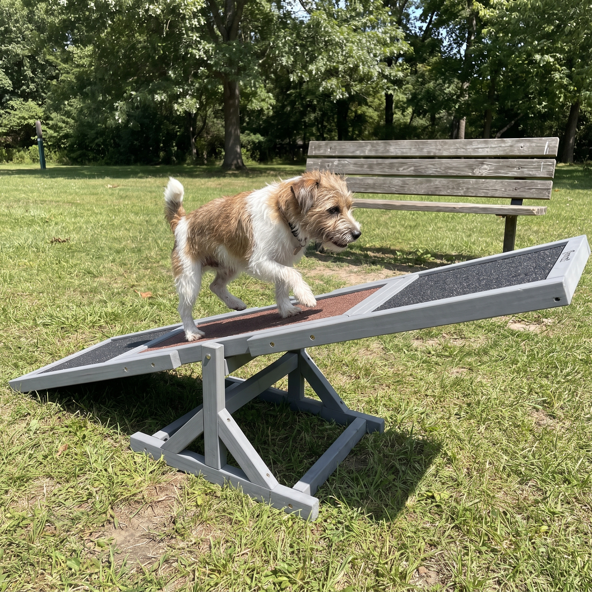 Small terrier crossing the wooden agility seesaw at the park - wrenwood ugc lifestyle v2