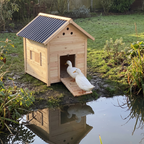 Two white ducks walking up the ramp of the wooden duck house beside a backyard pond - wrenwood ugc lifestyle v2
