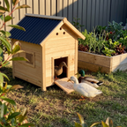 Ducks gathered at the wooden duck house ramp near the vegetable garden - wrenwood ugc lifestyle v2