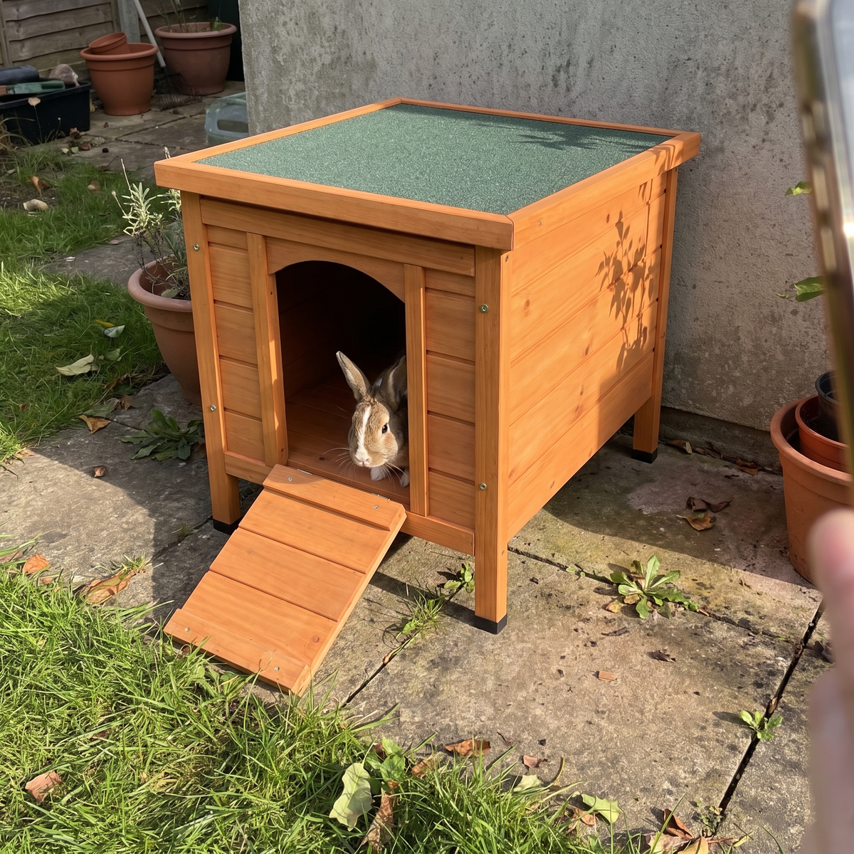 Rabbit poking out of the wooden hutch with green roof on a patio - wrenwood ugc lifestyle v2