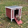 Rabbit climbing the ramp of the small red and white rabbit hutch on a leafy lawn - wrenwood ugc lifestyle v3