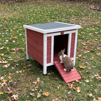 Rabbit climbing the ramp of the small red and white rabbit hutch on a leafy lawn - wrenwood ugc lifestyle v3