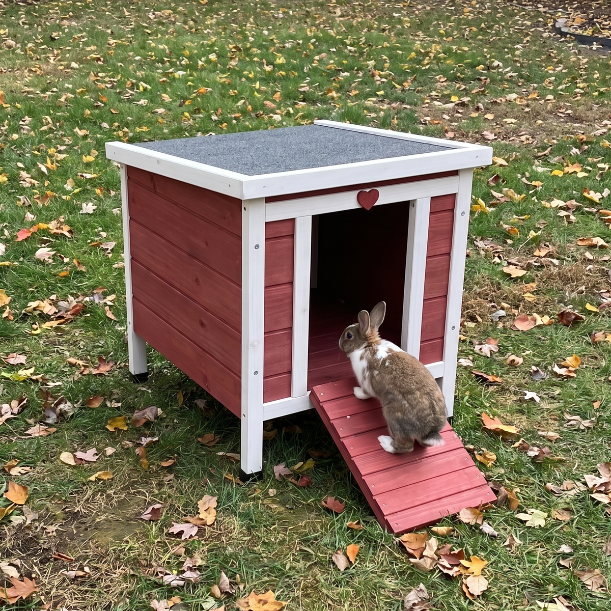 Rabbit climbing the ramp of the small red and white rabbit hutch on a leafy lawn - wrenwood ugc lifestyle v3