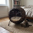Kitten beside the woven dome cat cave on a bedroom rug - wrenwood ugc lifestyle v3