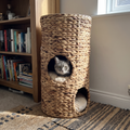 Cat peeking out of the woven tower cat bed by a bookshelf - wrenwood ugc lifestyle v2