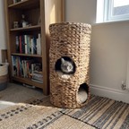 Cat peeking out of the woven tower cat bed by a bookshelf - wrenwood ugc lifestyle v2