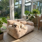 Shih tzu lounging on the luxury pet sofa bed in a sunroom by the patio doors