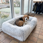 Beagle curled in the white shaggy winter pet bed on an enclosed front porch on a frosty morning