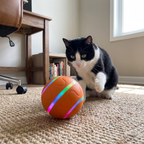Black and white cat batting at the smart self rotating cat ball on a home study floor