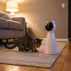 Tabby cat chasing the laser dot beside the automatic laser cat toy in a living room