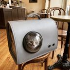 Grey tabby cat in the bubble window of the pet handbag carrier on a cafe chair.