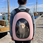 Cream cat in the pink bubble cat backpack worn on a harbour front walk
