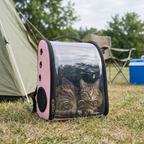 Two cats inside the foldable bubble pet backpack on the grass beside a tent