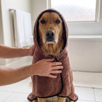 Golden retriever wrapped in the microfiber pet bath towel in a bathroom