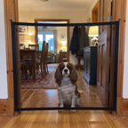 Spaniel behind the portable pet safety gate in a kitchen doorway