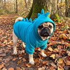 Pug wearing the cozy fleece dog hoodie on an autumn woodland path