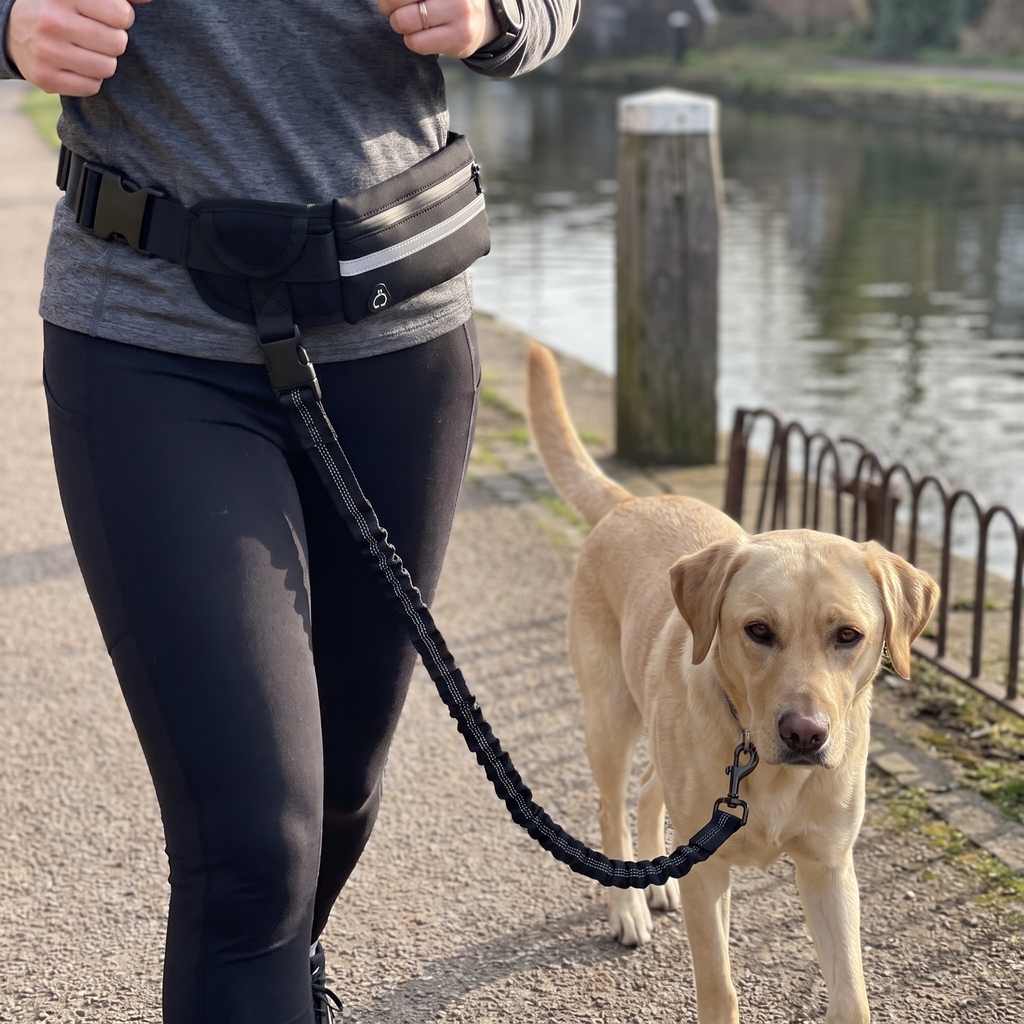 Owner jogging with the hands free bungee waist leash and dog on a canal towpath