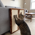 Brown tabby cat scratching the foldable cat scratcher mat beside a grey sofa in a living room