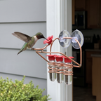 Hummingbird feeding at the copper window suction-cup nectar feeder on a kitchen window