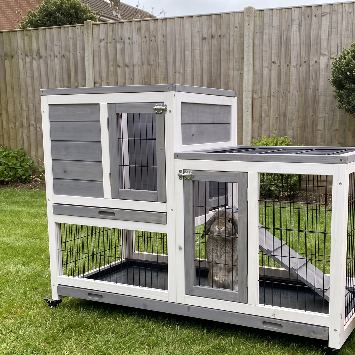 Rabbit in the run of the elevated wooden hutch on a tidy back lawn
