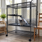Chinchilla in the open doorway of the 2-tier rolling ferret cage in a sunroom