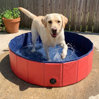 Labrador splashing in the red and navy foldable dog pool on a sunny back patio