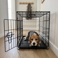 Beagle lying inside the black folding wire dog crate with the door open in a tidy hallway