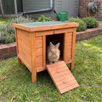 Lionhead rabbit in the doorway of the wooden outdoor rabbit hutch with green roof by a flowerbed