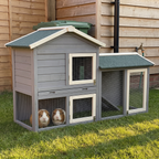 Two guinea pigs in the run of the 58in large grey wooden rabbit hutch in a fenced garden at golden hour