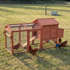 Hens around the 96in portable wooden chicken coop on wheels in a grass paddock in late afternoon