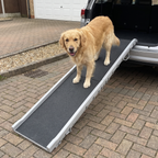 Golden retriever on the extra-long folding dog ramp up to an open SUV boot on a driveway