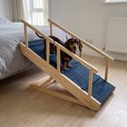 Dachshund walks down the wooden rail-sided pet ramp from a bed in a bedroom.