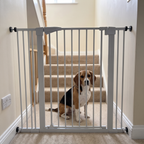 Beagle sitting behind the tall pet safety gate fitted across the bottom of a carpeted staircase