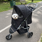 Small white maltese looking out of the three-wheel pet stroller on a park path
