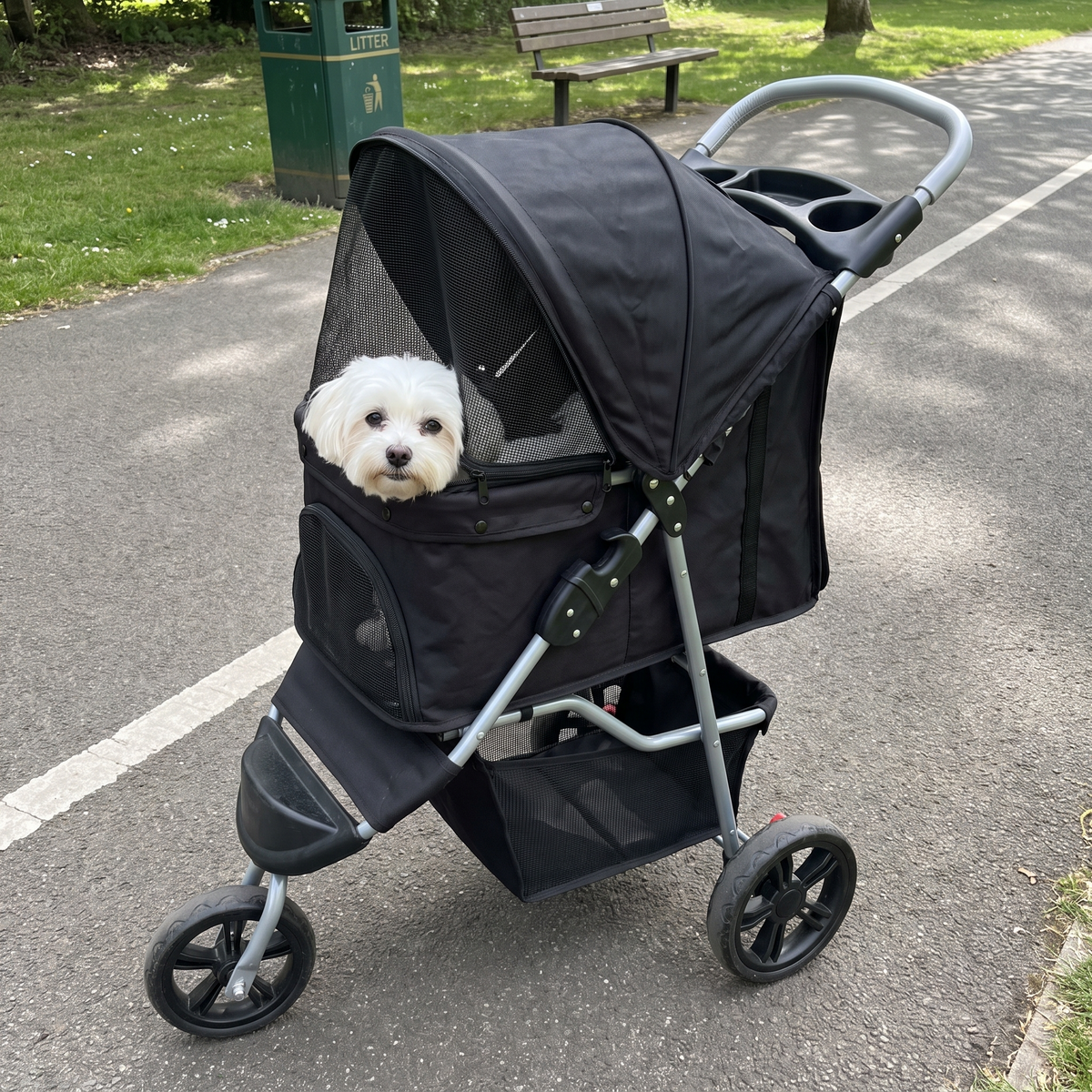 Small white maltese looking out of the three-wheel pet stroller on a park path