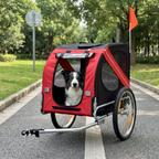 Border collie sitting inside the red dog bike trailer parked on a cycle path beside grass