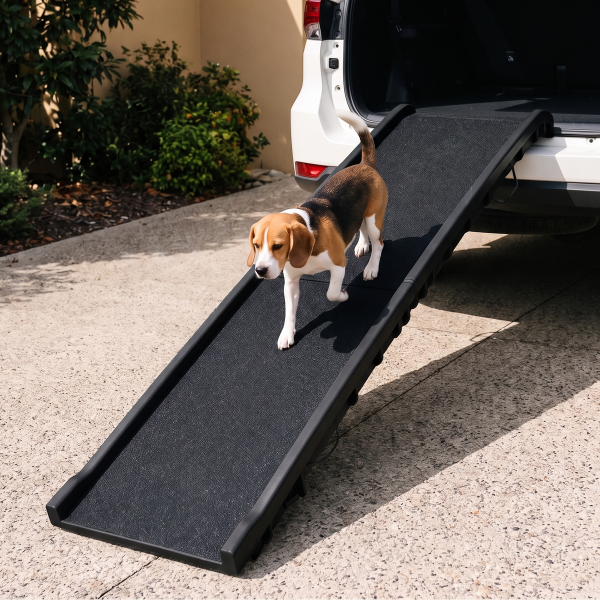 A black pet ramp with a beagle walking up it, positioned next to an open white vehicle door in a driveway.