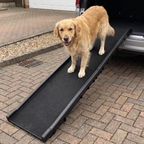 A golden retriever dog stands on a black pet ramp positioned on a paved driveway in front of a vehicle with its trunk open.