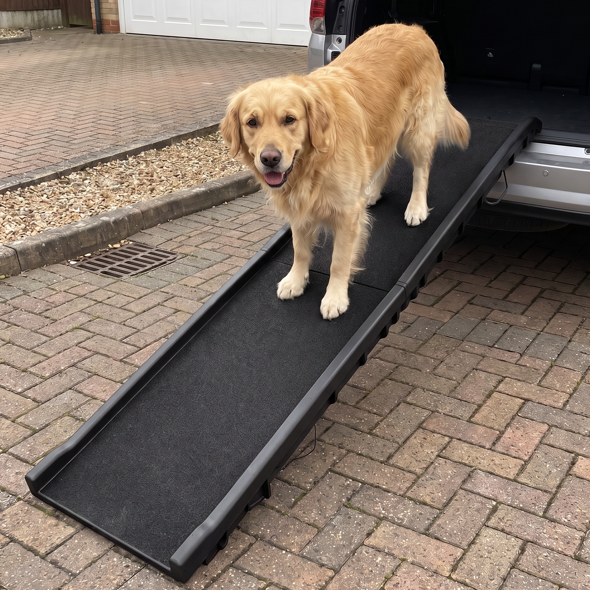 A golden retriever dog stands on a black pet ramp positioned on a paved driveway in front of a vehicle with its trunk open.