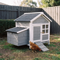 Gray and white wooden chicken coop with a nesting box and ramp on a backyard lawn, hen alongside