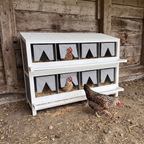 Hens settled in the white eight-compartment nesting box, with another hen standing in front