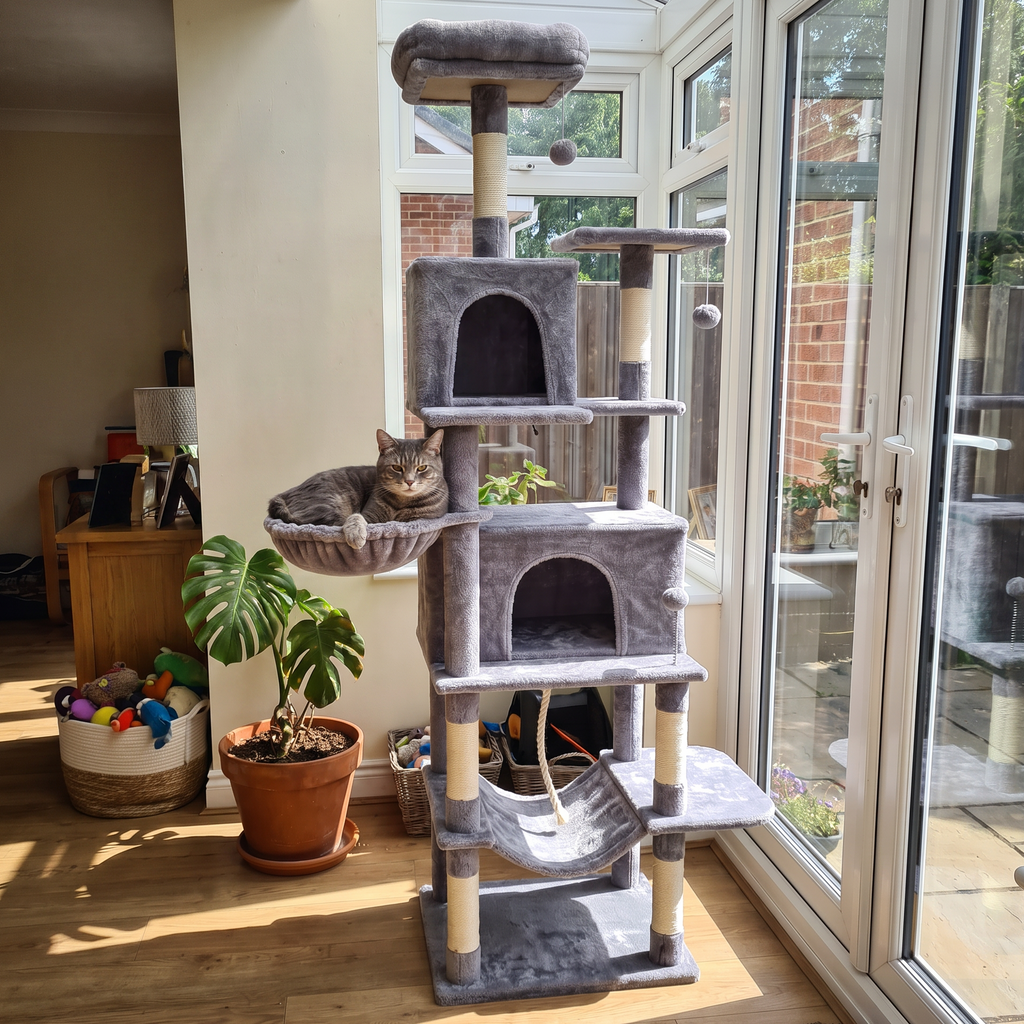 A tall gray cat tree with multiple levels, a hanging hammock, and a cat resting on one of the platforms, photographed in a sunlit home interior near large glass doors.